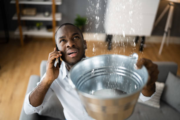 Trusted FL Water damage restoration Experts