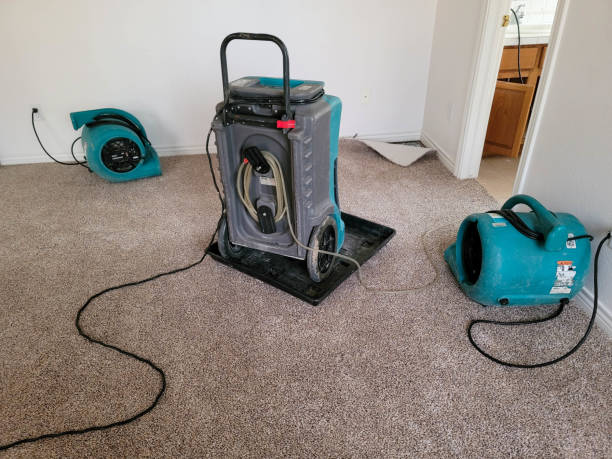 Best 24/7 water damage repair  in Palm City, FL