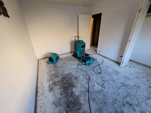 Best 24-hour water damage restoration  in Palm City, FL