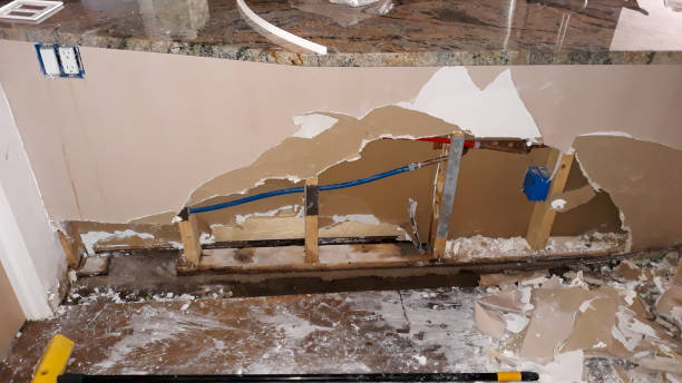 Best Flooded house restoration  in Palm City, FL