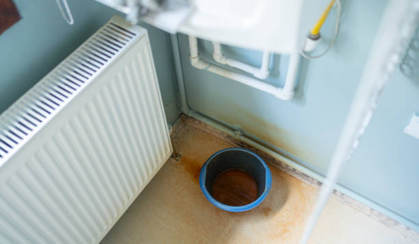 Best Flood damage cleanup  in Palm City, FL