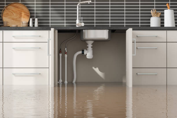 Best Mold removal after water damage  in Palm City, FL