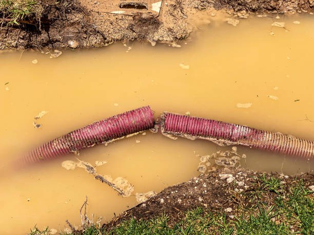 Best Emergency water damage restoration  in Palm City, FL