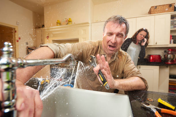Best Mold removal after water damage  in Palm City, FL